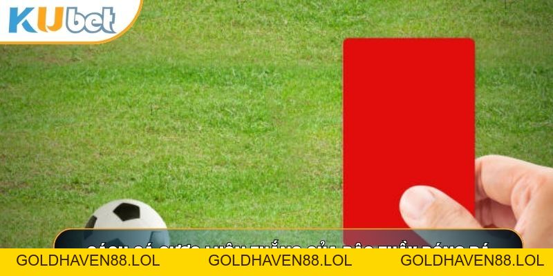 Kèo Thẻ Phạt Là Gì? Chiến Thuật Kim Cương Chinh Phục Cược Thẻ