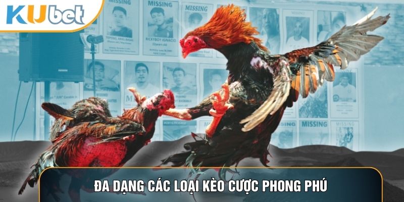 Đá Gà C1 - Đấu Trường Đẳng Cấp Thượng Lưu Tại KUBET88