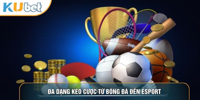 Thể Thao KUBET88 - Nơi Hội Tụ Những Kèo Cược Đỉnh Cao Nhất