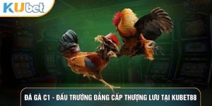 Kubet88 fifa - Link truy cập Kubet đăng nhập chính thức