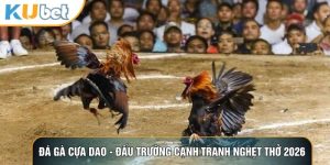 Kubet88 fifa - Link truy cập Kubet đăng nhập chính thức