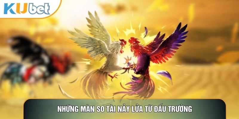 Đá Gà KUBET88 - Nơi Hội Tụ Những Trận Gà Đỉnh Cao Thế Giới