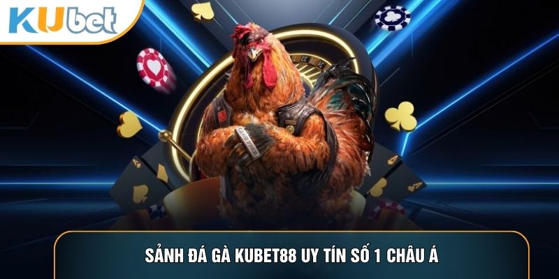 Đá Gà KUBET88 - Nơi Hội Tụ Những Trận Gà Đỉnh Cao Thế Giới